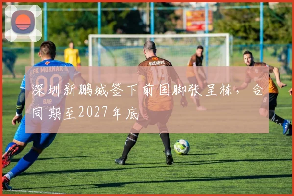 深圳新鹏城签下前国脚张呈栋，合同期至2027年底